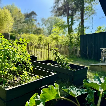 Elegant With Outdoor Kitchen Дом отдыха Melby